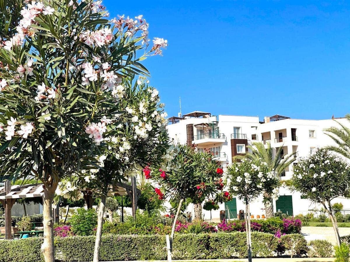 Sweetness Apartment By The Sea Vokolidha Bagian luar foto