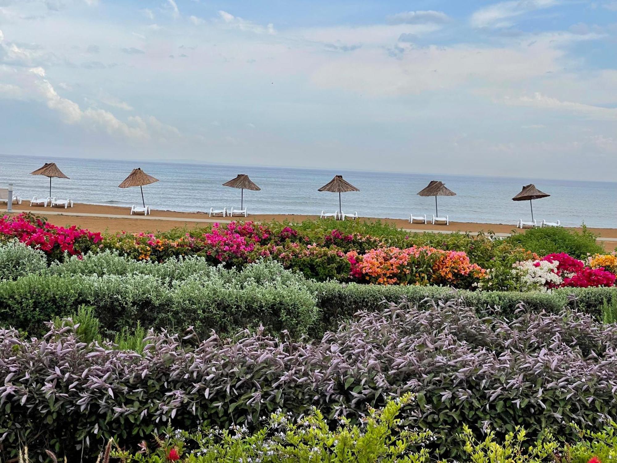 Sweetness Apartment By The Sea Vokolidha Bagian luar foto